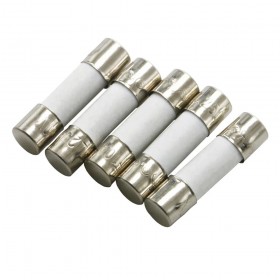 Holly 50CT-013H, 5x20mm 1.25A 250V (T) Gecikmeli Porselen Sigorta