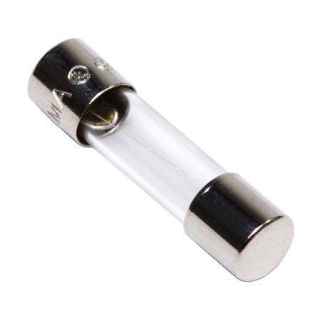 10A 5x20mm 250V Cam Sigorta