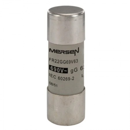 FR22GG69V63, 22x58mm 690V 63A gG Porselen Sigorta