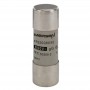FR22GG69V63, 22x58mm 690V 63A gG Porselen Sigorta