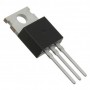 IRFZ46N, TO-220 Mosfet Transistör